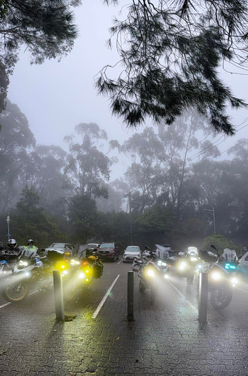 Fitzroy Falls in the fog